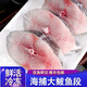 蝶島船說(shuō) 東山島新鮮馬鮫魚(yú)切片 鲅魚(yú)段 大馬鮫魚(yú)片 深海魚(yú) 500克