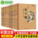 【全套13冊】中國經(jīng)典文化傳統(tǒng)國學啟蒙讀本 4-10歲幼小學生一二三年級課外讀物全彩繪注音版弟子規(guī)三字經(jīng)論語千字文