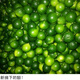 海南金桔新鮮桔子青金桔小檸檬青橘薄皮多汁冷飲奶茶新鮮水果批發(fā) 海南金桔3斤