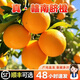 江西贛南臍橙新鮮現(xiàn)摘水果孕婦橙子手剝甜橙贛州產(chǎn)地直發(fā)正宗LL 2斤嘗鮮