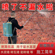納米防水補(bǔ)漏噴霧透明滲透型原液屋頂外墻墻面膠噴劑材料防漏涂料 2斤【20倍超濃縮】單遍約100平方