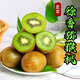 果燃彬彬陜西徐香綠心獼猴桃應(yīng)當(dāng)季新鮮時(shí)令水果整箱綠心國產(chǎn)奇異果 中大果【凈5斤】徐香綠心