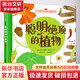 聰明絕頂的植物 精裝 學(xué)生科普讀物