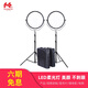銳鷹（FALCONEYES） LED柔光燈補光燈攝影燈攝像燈直播視頻燈外拍燈影視燈影棚燈套裝 SO-68TD兩燈套裝