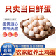 對(duì)面小城現(xiàn)撿鮮雞蛋土雞蛋 柴雞蛋農(nóng)家散養(yǎng)單枚40±5g 30枚