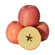 紅六?！眷o寧蘋(píng)果】紅六福 靜寧蘋(píng)果紅富士甘肅特產(chǎn)水果生鮮 紅富士65-75果帶箱5斤