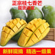 鮮寶道廣西百色田東桂七芒當季新鮮水果新鮮現(xiàn)摘整箱 9斤中果單果90克禮盒凈重8斤