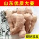 鮮級佳山東生姜新鮮干姜安丘大姜月子姜老姜水洗風(fēng)干鮮姜老黃姜現(xiàn)挖現(xiàn)發(fā) 1000g