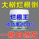 環(huán)嗪酮滅樹(shù)粉死樹(shù)除樹(shù)大樹(shù)爛根劑強力殺死大樹(shù)專(zhuān)用藥園藝肥料枯樹(shù) 1桶裝專(zhuān)用型