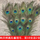 上策孔雀尾羽真孔雀羽毛翎尾大眼睛DIY飾品家居擺設(shè)客廳婚慶花瓶裝飾 120-130厘_優(yōu)選大眼10支送2送