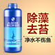瘋狂石頭魚缸除青苔草缸去除絲藻不傷魚去綠藻褐藻黑毛藍(lán)絲藻草缸除綠除藻劑 除藻劑600ML