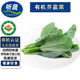 聽蔬 有機芥藍1斤 芥蘭菜甘藍菜 現(xiàn)摘現(xiàn)發(fā) 有機認證新鮮蔬菜 無農(nóng)殘 500g