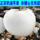 奶油富士蘋(píng)果水果新鮮10牛奶黃金白色一級現摘斤山東煙臺當季整箱 5斤 80mm(含)-85mm(不含)