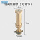 2021電動(dòng)噴霧器純銅噴頭高壓霧化多孔噴頭打藥機配件高壓可調霧化噴頭 高壓直噴(2個(gè)裝）