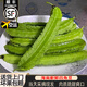四叔公果蔬海南三亞新鮮四角豆現摘蔬菜【順豐空運可選】四棱豆龍豆角四季豆 3斤【順豐空運-多地隔日可達】