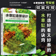 水草缸造景設計：從零開始打造唯美水世界