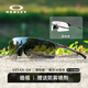 歐克利Oakley9313變色騎行眼鏡戶外跑步無框超輕運動太陽鏡EVzero 新款 碳纖維色腿 全天候變色鏡片
