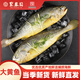 聚春園條凍大黃魚450g/條寧德大黃魚深海魚黃魚鲞小黃魚福建特產(chǎn)海鮮 條凍大黃魚 450g *1份