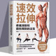 【正版書籍】肌肉健美訓(xùn)練圖解德拉威爾肌力量運(yùn)動(dòng)解剖學(xué)圖譜健身書籍教程大全 私人教練徒手精準(zhǔn)拉伸訓(xùn)練體能三角肌訓(xùn)練書運(yùn)動(dòng)健身減脂健身BB 速效拉伸 無(wú)規(guī)格