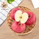洛川蘋果（luochuanapple）【順豐】陜西延安紅富士蘋果洛川蘋果產(chǎn)地直發(fā)脆甜多汁能帶皮吃 18枚95mm 特大果 甄選 鐵粉必選