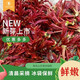 香椿芽新鮮野生頭茬紅油嫩芽露天冷鏈現(xiàn)貨3斤當(dāng)季野菜春芽香椿菜 優(yōu)選香椿芽3斤裝