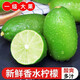 儲褚云南無籽青檸檬現(xiàn)摘新鮮水果 奶茶店檸檬茶專用小青檸香水檸檬 2斤精選（約8-12個）