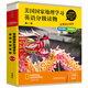 美國國家地理學(xué)習(xí)英語分級(jí)讀物 第二級(jí)（套裝共15冊(cè) 點(diǎn)讀版 附掃碼音頻）