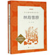 林海雪原(經(jīng)典名著口碑版本)/語文閱讀推薦叢書 人民文學(xué)出版社 正版包郵 新華書店旗艦店
