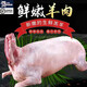 簡(jiǎn)滋內(nèi)蒙古羔羊肉生鮮現(xiàn)宰10-20斤烤全羊整羊新鮮燒烤食材 全羊整只25-26斤