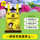 史丹利繡球花專(zhuān)用營(yíng)養土花土繡球土壤無(wú)盡夏八仙花紫陽(yáng)花泥炭種植土10L