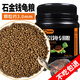 龜真壽石金錢烏龜飼料300g南石龜專用龜糧 龜食幼龜開口糧