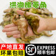 藕荷泥（OUHENI）現(xiàn)摘洪湖新鮮菱角老菱角黑菱角青菱角米新鮮粉糯湖北特產(chǎn)生鮮棱角 洪湖嫩菱角4斤 順豐保鮮發(fā)貨