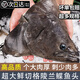 漁吻格陵蘭鰈魚(yú)頭深海特大蝶魚(yú)頭新鮮冷凍鴉片魚(yú)頭商用雅片魚(yú)頭海魚(yú) 【1.5斤/個(gè)】鰈魚(yú)頭 750g *2個(gè)