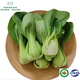 地之源有機(jī)油菜  有機(jī)上海青  基地現(xiàn)摘現(xiàn)發(fā) 500g
