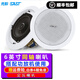 先科（SAST）同軸吸頂音響 喇叭套裝客廳有線家用吊頂天花音箱藍(lán)牙定壓功放家庭影院背景音樂重低音炮 同軸6英寸吸頂音響(需要與功放機(jī)一起才可以使用)