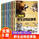 【全套8冊(cè)】西頓野生動(dòng)物故事集 彩繪漫畫(huà)版世界經(jīng)典動(dòng)物文學(xué)作品真實(shí)感人的野生動(dòng)物故事世界暢銷書(shū)
