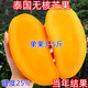 新品種泰國無(wú)核芒果樹(shù)苗無(wú)核嫁接芒果苗四季種植當年結果耐寒特大 81cm(含)-110cm(含) 1年(帶土帶葉)