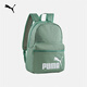 彪馬（PUMA）戶(hù)外通勤旅行大容量雙肩背包男女款學(xué)生書(shū)包電腦包079943 淺綠灰-05 OSFA