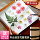 曇蓓漫植物標本制作工具壓花器壓花板樹葉干花DIY制作器標本夾押花相框 A5專業(yè)版壓花器【16*21cm】 配全套工具+制作教程
