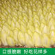 采緹玉蘭菜新鮮 菊苣芽球新鮮蔬菜西餐沙拉生菜白玉蘭生菜生鮮 3斤裝(老板推薦)