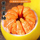 采緹黃心柚子黃肉蜜柚25年現摘現發(fā)新鮮水果應當季整箱黃肉柚子 4.5-5斤（2個(gè)裝） 【精選裝】