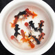 優(yōu)魚(yú)若寵黑龍睛紅獅金魚(yú)混搭多色多品種小金魚(yú)冷水淡水魚(yú)風(fēng)水魚(yú) 精品隨機混搭金魚(yú)7-8cm5只