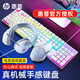 HP惠普機(jī)械手感鍵盤鼠標(biāo)套裝有線游戲吃雞LOL臺式電腦筆記本外設(shè)辦公鍵鼠通用USB 【白色】游戲鍵鼠頭戴耳機(jī)3件套+配鼠標(biāo)墊
