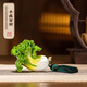 朱炳仁銅 手握百財(cái) 白菜客廳玄關(guān)擺件臥室陽臺(tái)裝飾品辦公室擺設(shè)開業(yè)品 手握百財(cái)