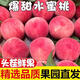 帆兒莊園現貨水蜜桃蜜桃甜桃脆毛桃新鮮水果精品時(shí)令當季桃子應季時(shí)令 2斤