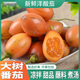 新鮮樹(shù)番茄中大果云南雞蛋果洋酸茄木本番茄大樹(shù)楊酸茄蔬菜果子 500g 小果（500克8-12個(gè)）