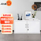 錢柜文件柜鐵皮柜矮柜儲(chǔ)物柜辦公柜資料柜憑證柜 500雅白憑證柜