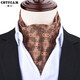 弗倫巴納 男士領(lǐng)巾免燙襯衫領(lǐng)口巾英倫西裝潮男防皺雙面領(lǐng)口巾圍巾 復古古銅刺花領(lǐng)巾