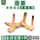 千牛優(yōu)福南姜500g 新鮮蘆葦姜 泰式冬陰功湯調(diào)料火鍋底料生姜 500g