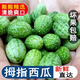 新鮮拇指西瓜時令當季水果特色迷你網紅小綠瓤佩普基諾小西瓜包郵 2盒精選 單盒125g
